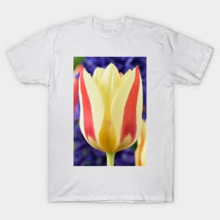 Tulipa 'Gluck' Kaufmanniana Tulip T-Shirt